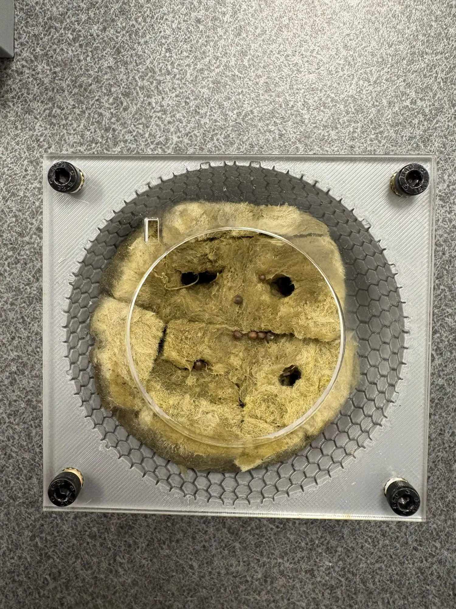 Clear acrylic cover with a circular window holding a disc of rockwool over the hex dome, held down by four screws