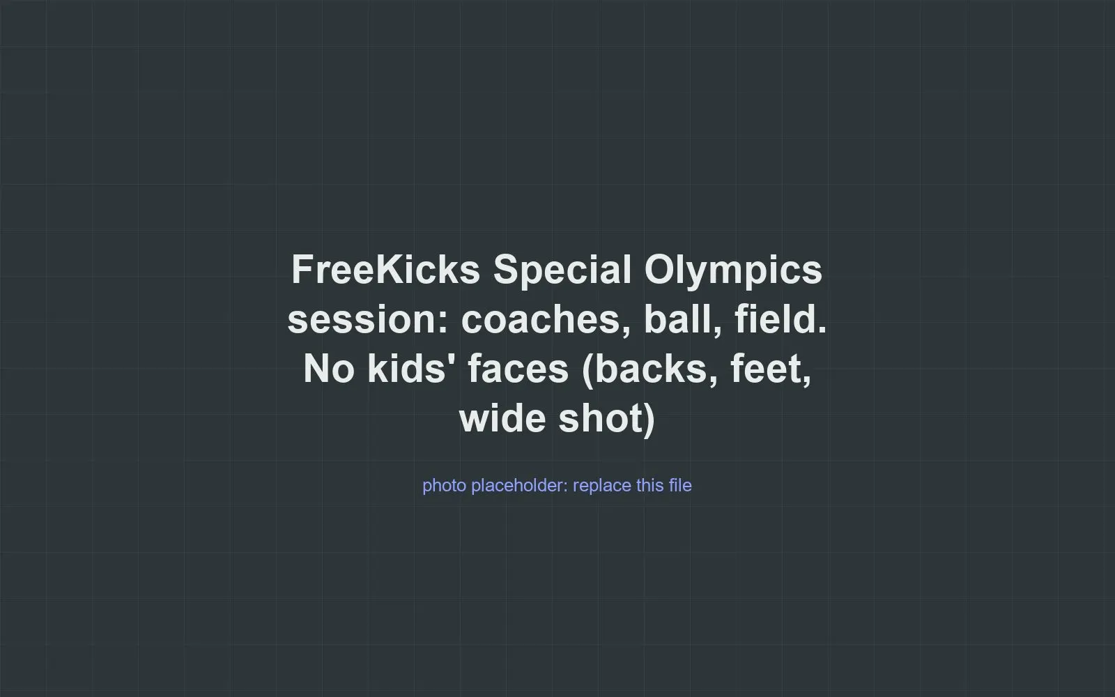 Placeholder for a photo of a FreeKicks soccer session, shot from behind